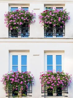 جعبه های پنجره شمعدانی صورتی عکاسی پاریس هنرهای زیبا |  اتسی