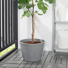 گلدان گیاه CITRUSKRYDDA ، خاکستری داخلی / فضای باز ، 13 3⁄4 "- IKEA