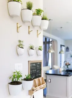 41 ایده عالی برای دیوارهای گیاهی و نحوه ساخت دیوارهای گیاهی