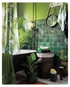 حمام سبز زمردی کوچک