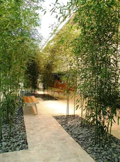 باغ بامبو داخلی |  مناظر برنده جایزه NYC