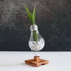 دکور میز تحریر در منزل و دفتر برای آرامش و تمرکز ، نگهدارنده گیاه لامپ حبابی ، لامپ ضد استرس HEX ، هدیه شخصی برای او