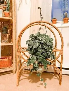 (eBay) قفسه ایستاده گیاهی Rattan گیاهان دستی RARE منحصر به فرد Vintage MCM Boho