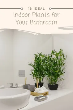 18 گیاه ایده آل داخل سالن برای حمام شما