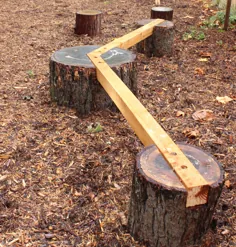 پرتو تعادل Log