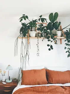 نحوه ایجاد قفسه گیاه اتاق خواب عالی