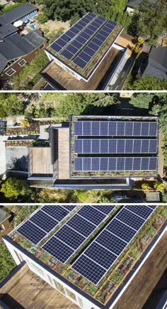 صفحات خورشیدی و یک سقف سبز در بالای این خانه جدید در سیاتل گنجانده شده است