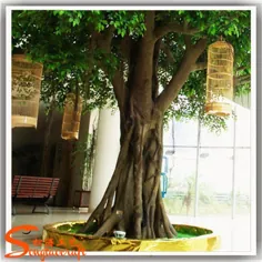 بهترین فروش مصنوعی جعلی Banyan Ficus Microcarpa درخت