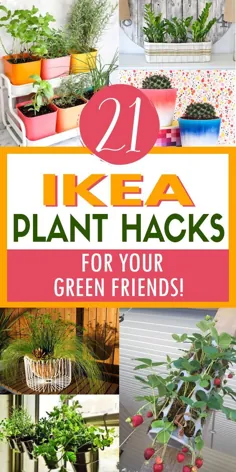 21 هک شگفت انگیز گیاه IKEA برای دوستان سبز شما