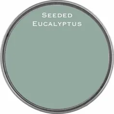 Seeded Eucalyptus Pastel Blue-Green Wow Owl One Hour One Mall |  اتسی