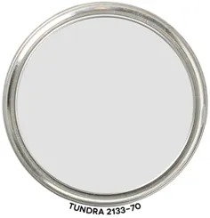 Tundra 2133-70 توسط بنیامین مور