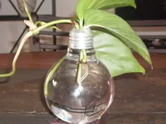 گلدان لامپ upcycled