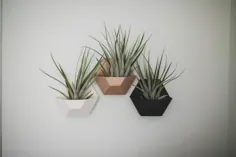 هدیه سه نفره Neutral Hexagon Wall Planter بانوی گیاهان زن |  اتسی