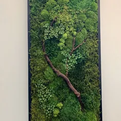 18x18 "هنر خزه دیواری بدون چوب. دیوار سبز با مراقبت صفر واقعی محافظت شده است. خزه ، سرخس و چوب خشک.