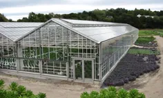 ورق های سقف گلخانه برای کاشت سبزیجات در کشاورزی موثر است