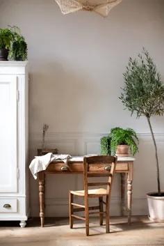 گیاهان خانگی در یک خانه جذاب و کم تزئین