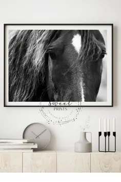 عکس سیاه و سفید از اسب ، چاپ حیوانات