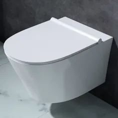 ظرف توالت سرامیکی دیواری آویزان با صندلی توالت نرم و بسته |  آخن 501