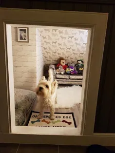 پدر سگش را برای او یک اتاق کوچک و عالی درست می کند