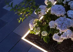 روشنایی منظره و باغ |  استودیو N |  طراحان روشنایی