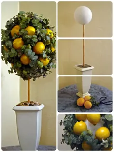 یک دمنوش لیمو و اکالیپتوس درست کنید