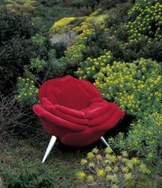 صندلی ROSE - صندلی راحتی از edra |  معمار
