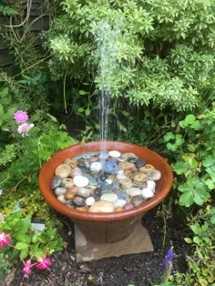 آب نمای کوچک ما در یک گلدان قدیمی باغچه.