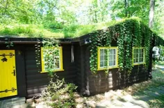 خانه ورودي نروژ با سقف سبز شيب دار