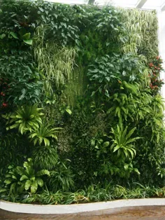 باغ عمودی ، giardini verticali ، دیوار سبز | پائولو دونینلی