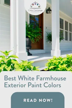 بهترین رنگهای نمای بیرونی خانه سفید |  دربان رنگ
