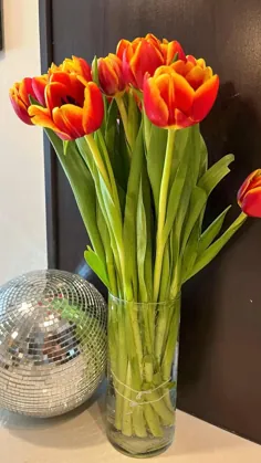 گل لاله 🌷 عشق گل، دسته گل، توپ دیسکو، زیبایی، گل های زیبا، تابستان بهار، Trader Joe's