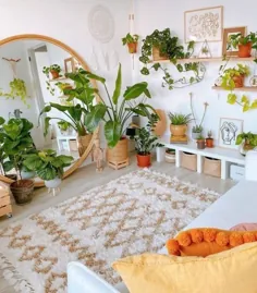 اتاق خواب بووهو |  گیاهان |  بانوی گیاه