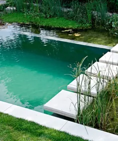 چاله شنا در حیاط خانه شما؟!  - گالری - DuJour