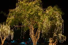 چراغ های رشته ای تزئینی در فضای باز که به درخت در باغ آویزان است در ...