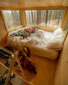 یک تخت ، یک سگ و یک کابین در یک روز بارانی.