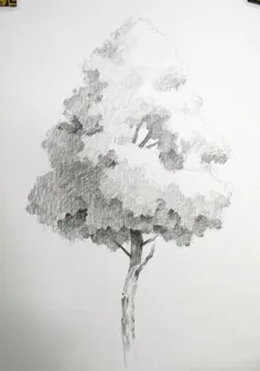 نقاشی مدادی از درختی بلند