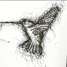 پرنده ی زمزمه کننده (خط نویس)