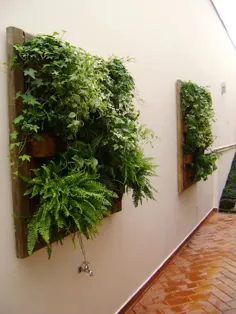 Casi 40 mini jardines برای دکوراسیون شما تجزیه می شود á Fáciles y económicos!  |  احترام گذاشتن