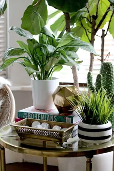 چگونه خانه خود را با گیاهان سبک کنیم - شایسته سون