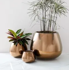 بهترین گیاهان مصنوعی برای دوست داشتن در هر اتاق - شیک + فاب + عشق