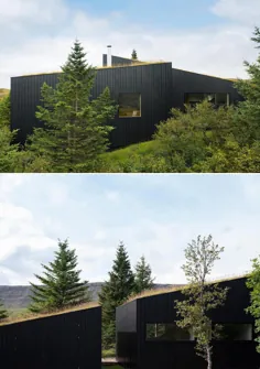 سقف سبز این خانه به ترکیب شدن آن در مناظر اطراف کمک می کند