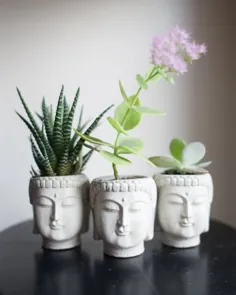 کاشت سر بودا ، 3 اینچ ارتفاع ، گلدان کوچک گیاه بودا ، کاشت صورت بودا ، کاشت سر بتونی ، کاشت سر شکل