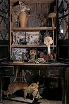 Cabinets of Wonder - منظره ای غیبی