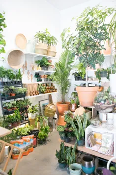 The Zen Succulent |  گیاهان و فروشگاه های هدیه محله ای دورهام The ZEN Succulent Home Modern Terrarium & Plant Craft