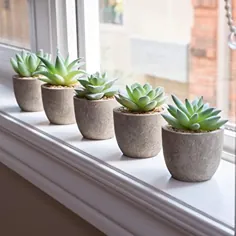 مجموعه 5 گیاه گیاهان ساکولنت مصنوعی - مرواریدهای کوچک جعلی متنوع - گیاهان مصنوعی کوچک در گلدان های داخل منزل - گیاهان تقلبی برای آستانه پنجره ، حمام ، فضای اداری و موارد دیگر