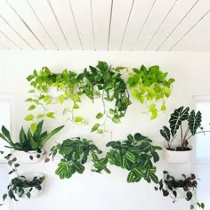 30+ ایده تزئین گیاهان دیوار آویز!