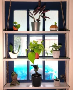 15+ ایده قفسه پنجره داخلی برای گیاهان
