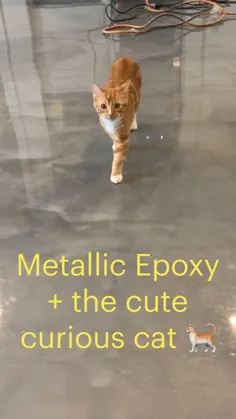اپوکسی متالیک + گربه ناز کنجکاو؟