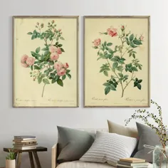 گیاهان عتیقه عکسهای بوم پوسترهای چاپی گیاه شناسی مطالعات دکوراسیون تصاویر دکور دیوار هنر نقاشی گل رز - تزیینات دیوار - تزئین زندگی خانه خود