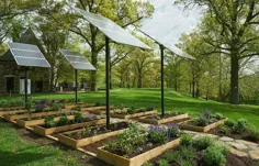 مگ وبستر |  Growing Under Solar Panels (2018) |  هنرمند